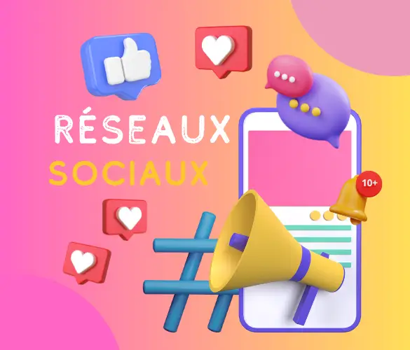 La pratique des reseaux sociaux 2